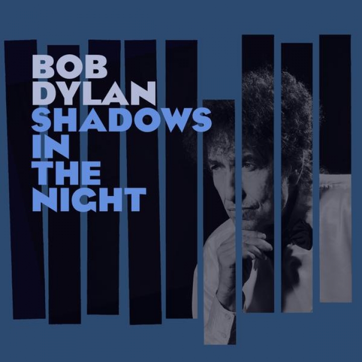 Bob Dylan â€” Shadows In The Knight